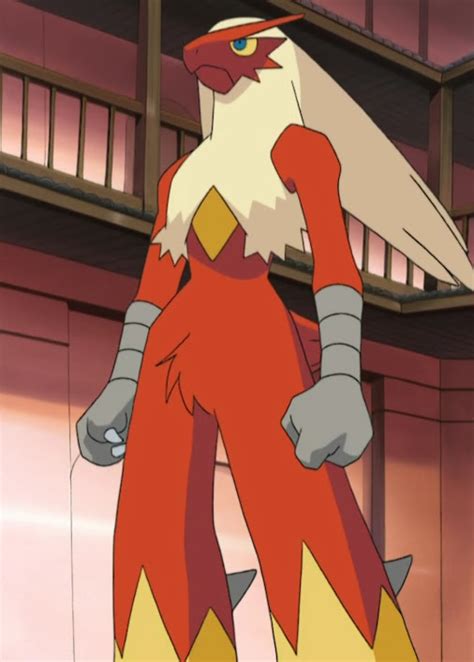 fire fighting pokemon blaziken.